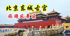 黄色性交免弗看中国北京-东城古宫旅游风景区